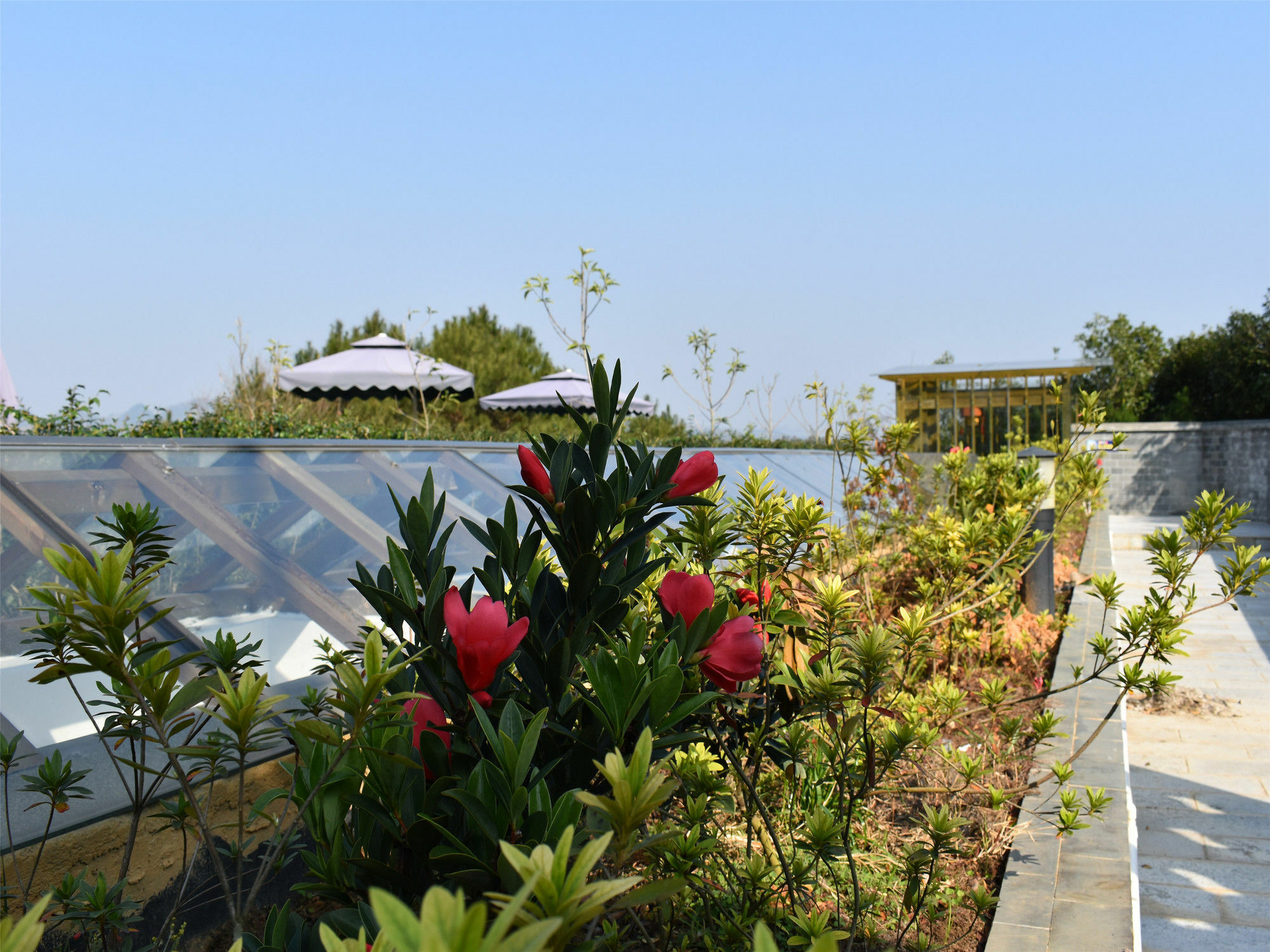 Yangshuo Mountain Top Retreat Экстерьер фото